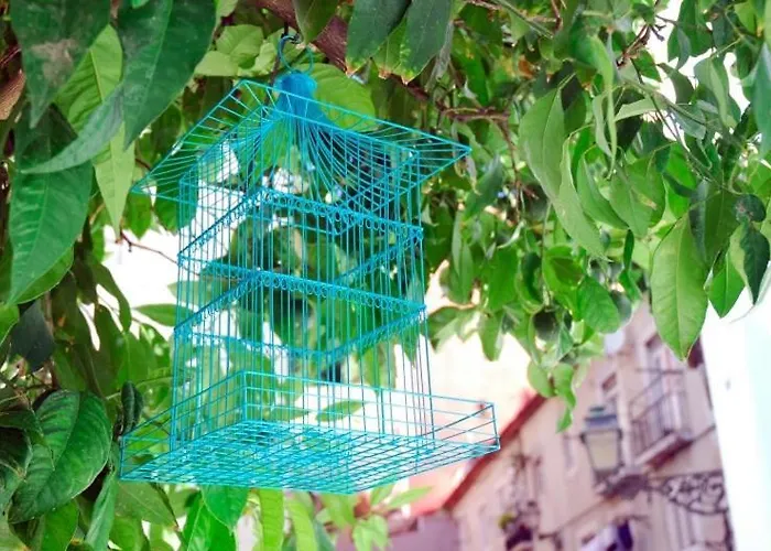 公寓 Portas Do Castelo Lisboa