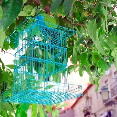 Apartament Portas Do Castelo Lizbona